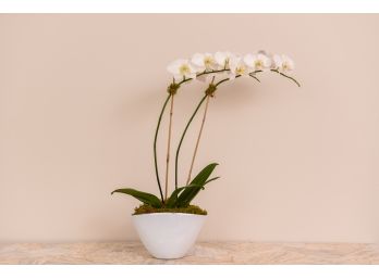 Beautiful Lifelike Faux Gardenia Plant In Ceramic Vase - Made In Germany