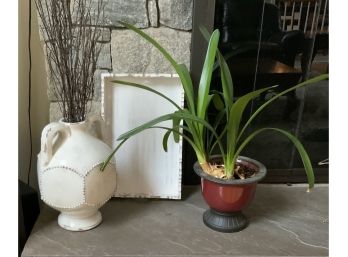 White Tray, Vase & Plant