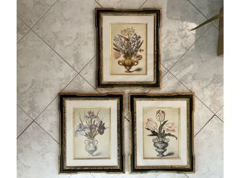 Three Trowbridge Gallery Framed Botanical Prints, Paid $1125