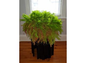 Large Live Fern Potted Plant