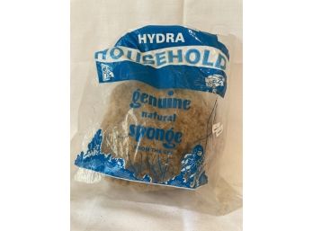 Brand New Hydra Household Genuine Natural Sponge From The Sea