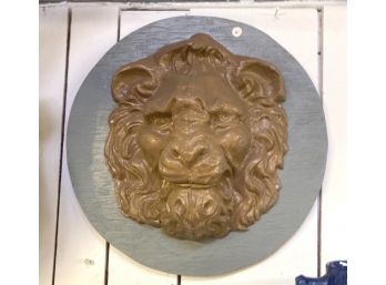 Outstanding BLOWN OUT LION FACE On Board