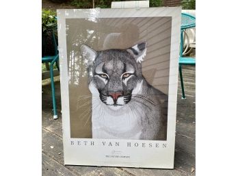 Beth Van Hoesen Poster Of Cat