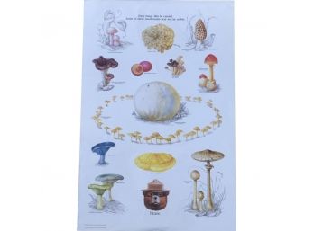 Smokey Bear Vintage Mushroom Poster 20 Inches By 30 Inches
