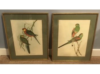 Vintage PR Of Bird Prints, Platycercus & Psephotus