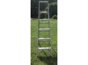 Werner Aluminum Ladder 6FT