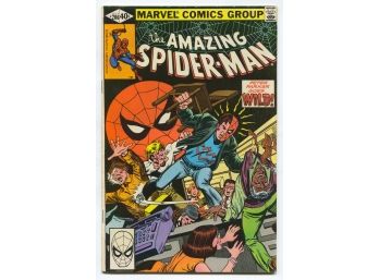 Amazing Spider-man #206, Marvel Comics 1980