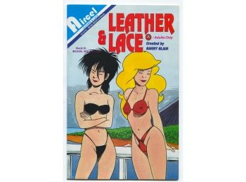 Leather & Lace, Book 2, Blood Sex & Tears #2, Aircel Publishing 1991 Adults Only!