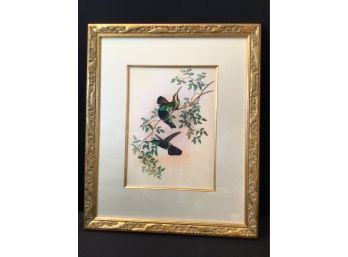 Large Exquisitely Matted & Framed Hummingbird Giclee  Print 23 X 27.5