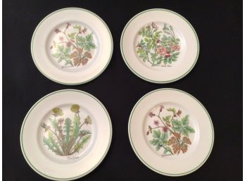 Lot Of 4 Tiffany & Company Wild Flowers Plates Made In England Johnson Brothers