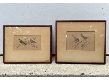 Vintage Framed Hand Colored French Bird Prints