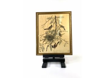 Antique Audubon Engraved Plate - Orchid Oriole