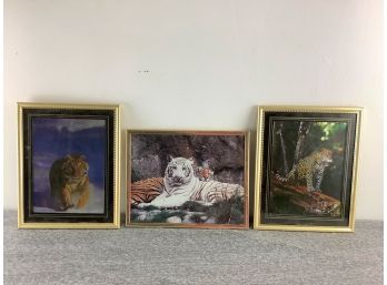 2 Tiger And 1 Leopard Framed Prints