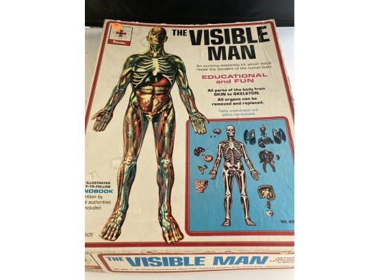 The Visible Man, Educational, By Renewal, Model Assembly Kit