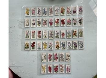50 Wildflower Trading Cards Produced In The 1930s From The Wills Cigarette Co.