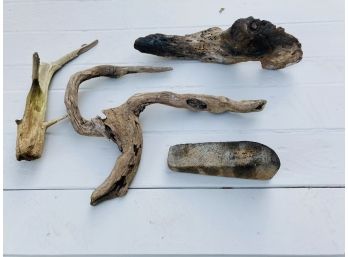 Group Of Four Curated Driftwood Pieces