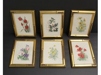 Amazing Vintage Collection Of  Miniature Signed M. Cooney Floral Paintings