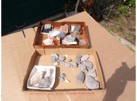 Lot Of 2 Boxes Fossils And Rock Collection
