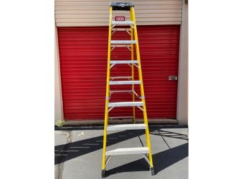 Lynn Ladder 8' (feet)