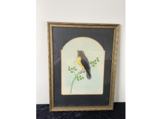 Early Yellow Chested Bird On Vine Art
