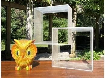 A Vintage Lucite Shadow Box Shelf And Owl