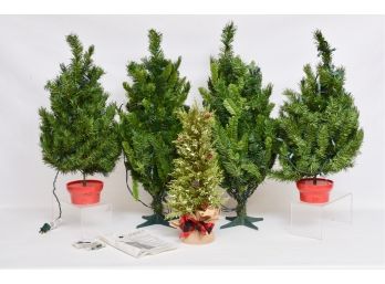 Set Of Two Regency International Pre-lit Christmas Trees, Two Lighted Trees In Red Pots And More