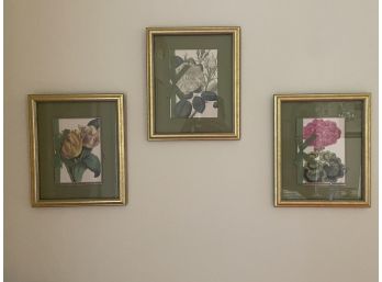 Three Floral Prints 9.75x11.75' Framed Glass