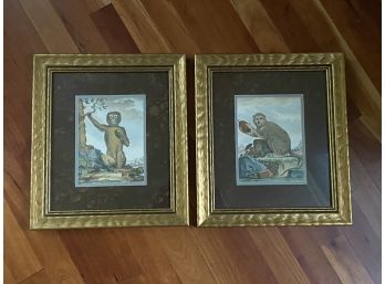 Two Monkey Pictures Matted Framed Glass 12.5x14.5'