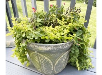 Planter With Live Plants
