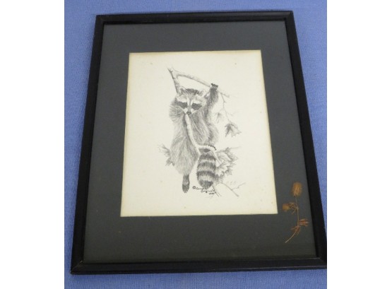 Framed Under Glass Vintage Raccoon Print By Carrye Originals