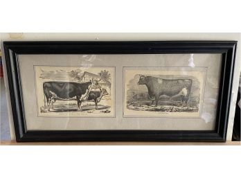 Framed Engraving Of Cows