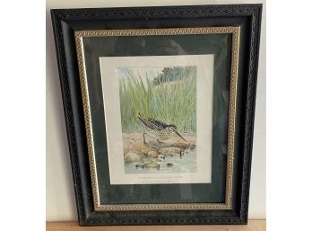 Framed Bird Print By Ridgway