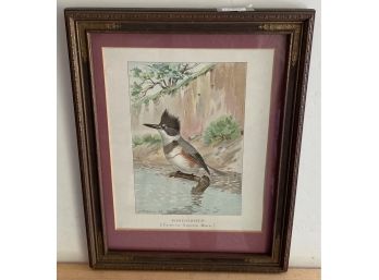 Framed Ridgeway Bird Print