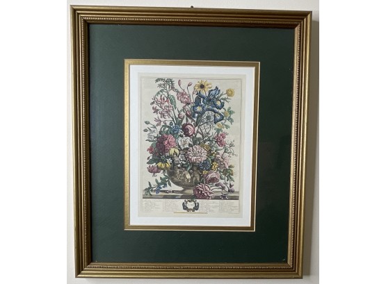 Williamsburg Framed Botanical Print With Dark Green Mat