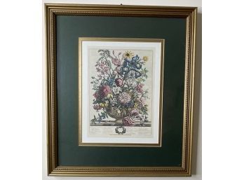 Williamsburg Framed Botanical Print With Dark Green Mat