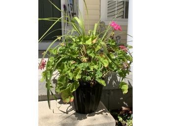 Outdoor Planter With Flowers
