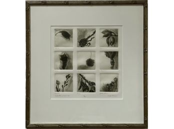 Seed Pod Study Etchings, Numbered 4/20,  Signed  K. Jackson