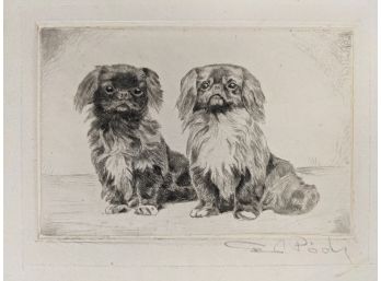 Antique Pencil Signed Dog Etching Pekingese Dogs