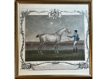 Portrait Of Lamprey Memorial Print To A Horse