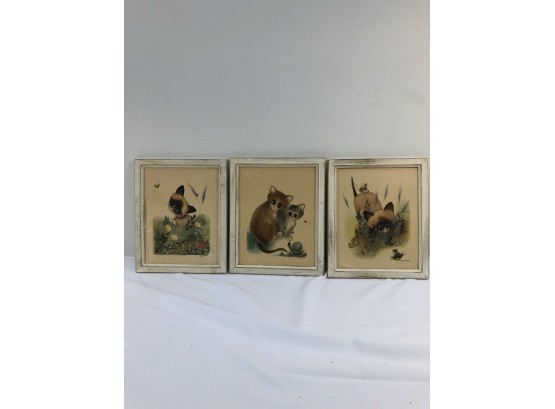 1963 Framed George Buckett Cat Prints