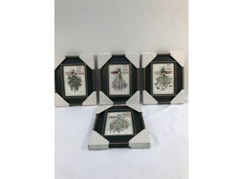 4 Framed Herbs Kitchen Prints Chives & Lavendar