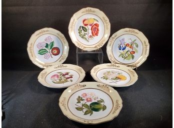 Beautiful Set Of Six New Porcelain Fruit & Flowers 10' Decorative Plates - MSRP $269.00