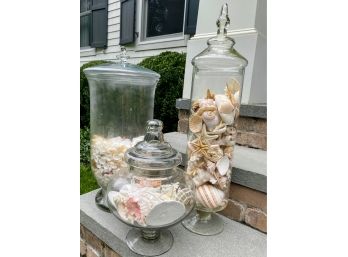 Set Of 3 Apothecary Jars With Lids And Shells