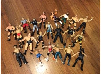 21 WWF/WWE Wrestling Action Figures-hogan-stone Cold-goldberg-hardy Boys And More