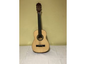 Beginner's Acoustic Guitar