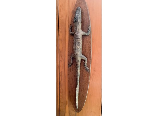 Alligator Wall Hanging-taxidermy