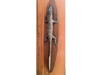 Alligator Wall Hanging-taxidermy