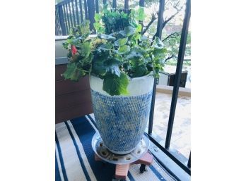 Blue And White Planter With Plant