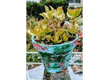 Blue, Green, Red Painted Clay Pot With Succulents