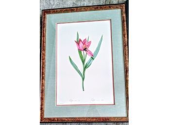 Tulip French Print 'Tulipe Ail De Soleil'  Beautiful Double Matted Frame
